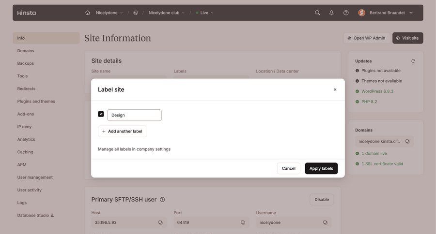 Kinsta
				settings ui page example
