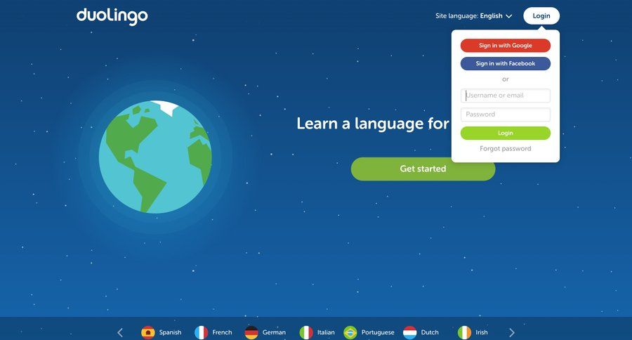 Duolingo
				signin page example