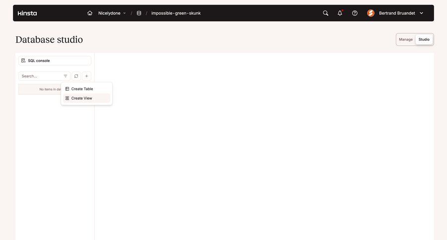 Kinsta
			 dashboard menu database management ui page example