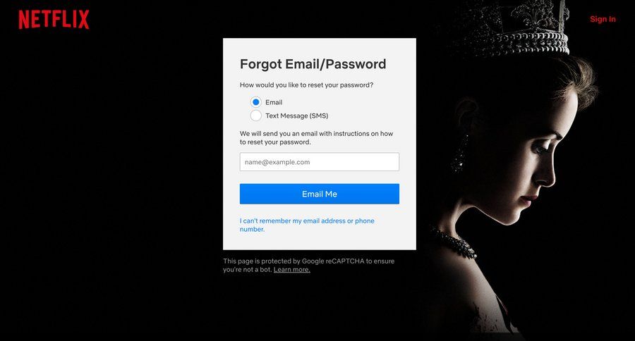 Netflix
				password reset page example